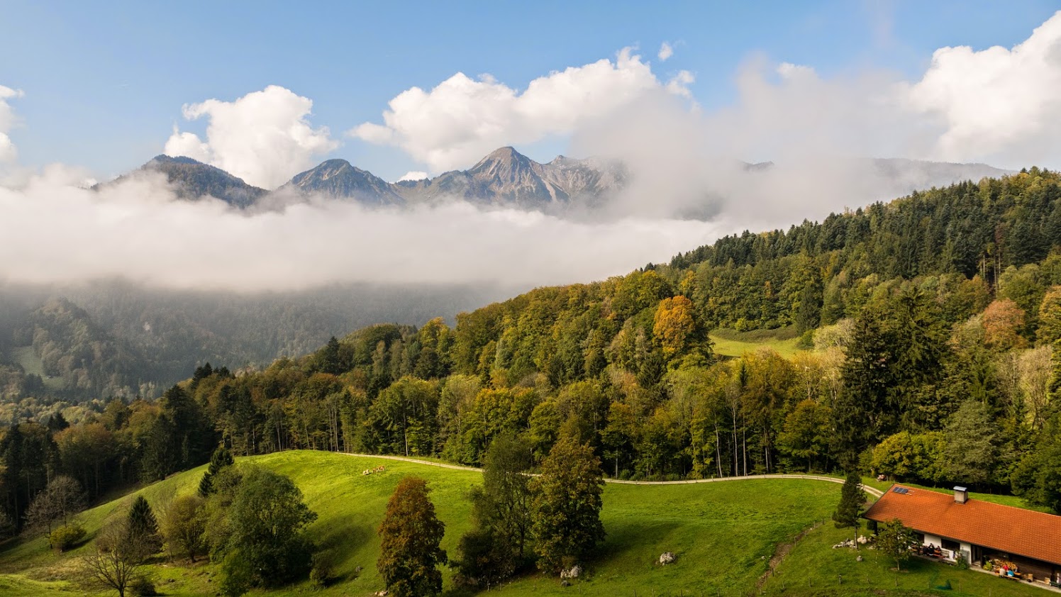 beckeralm_von_oben.jpg