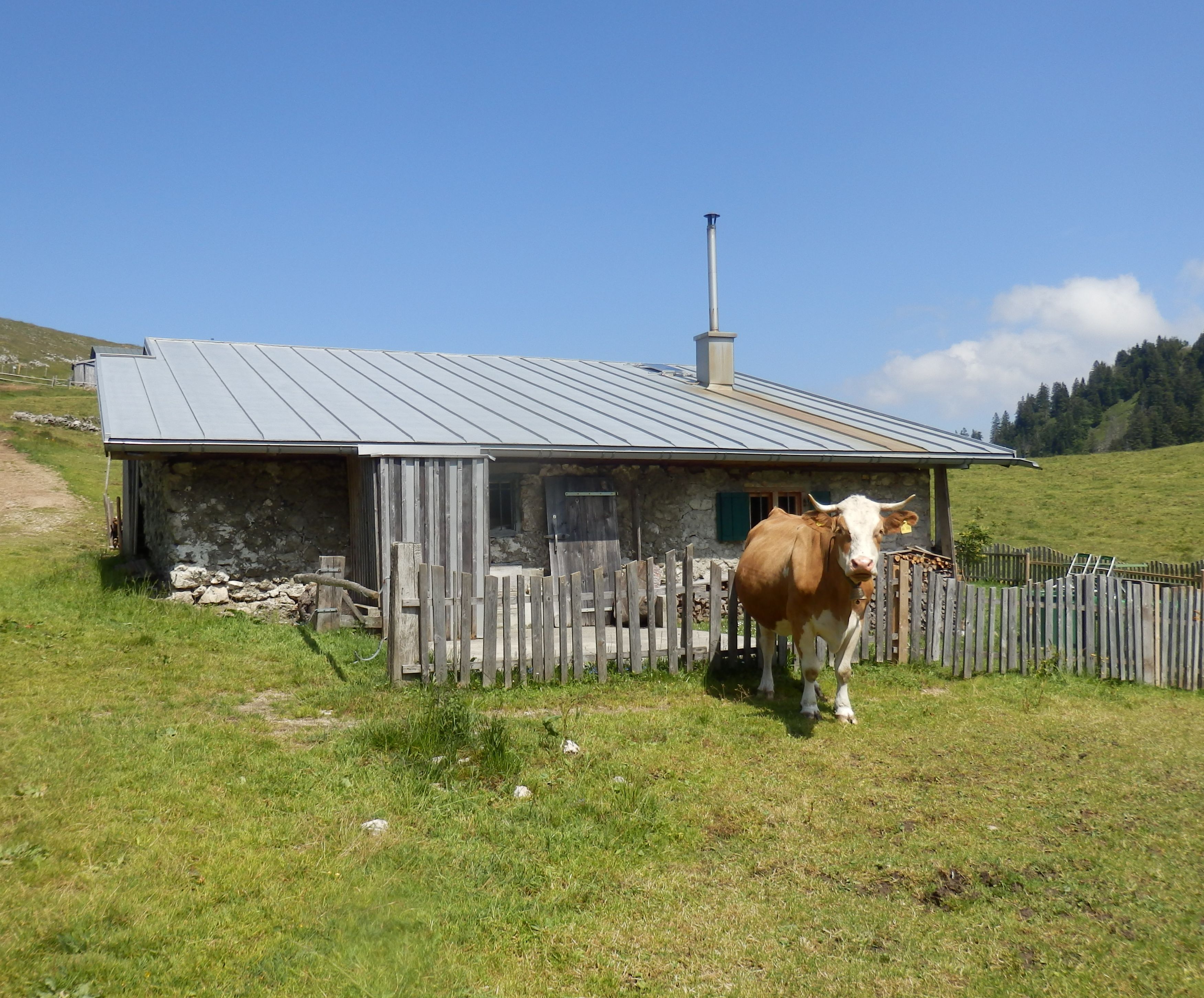 bei_der_laubensteinalm.jpg