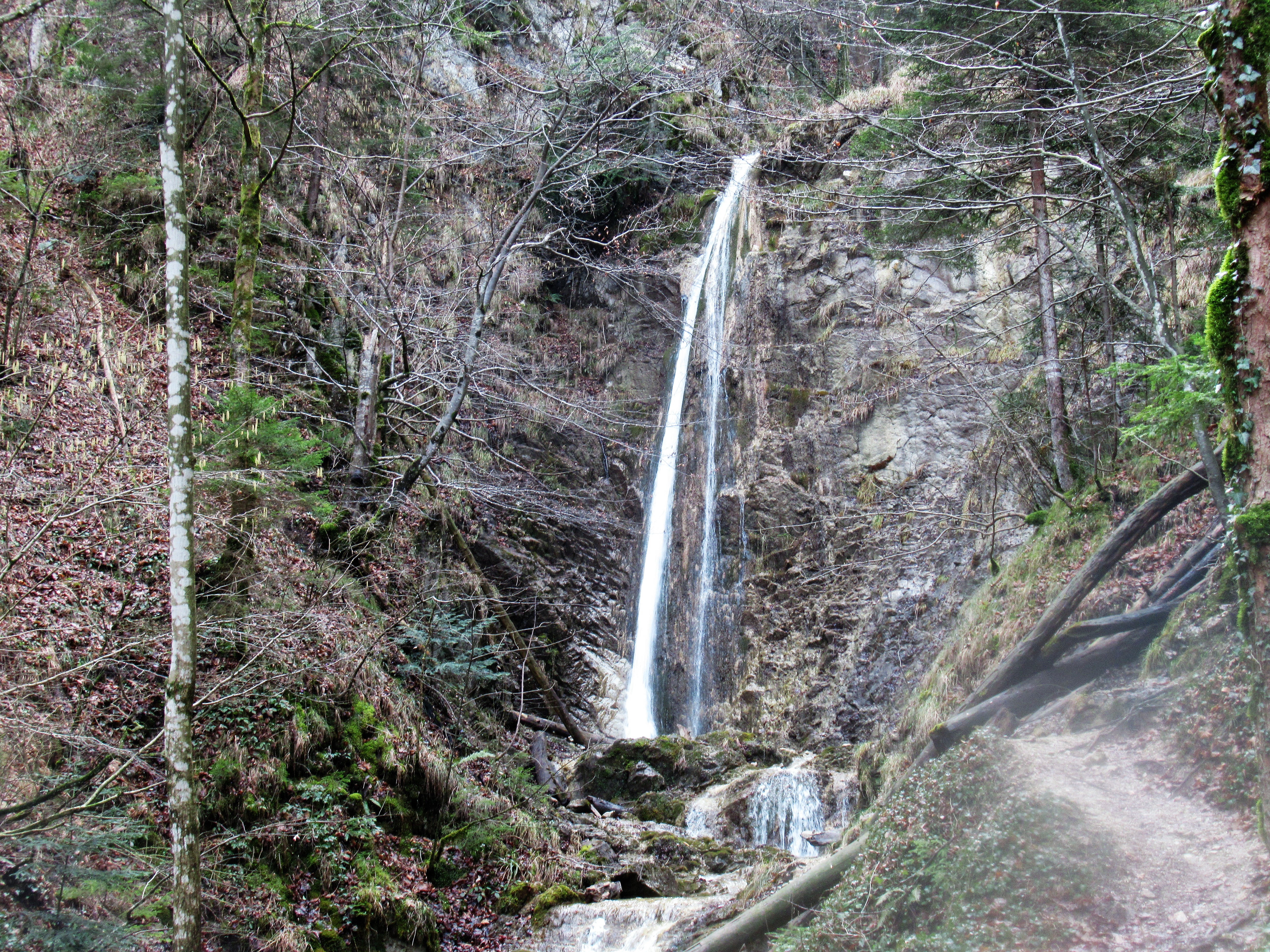 griessenbach_wasserfall.jpg