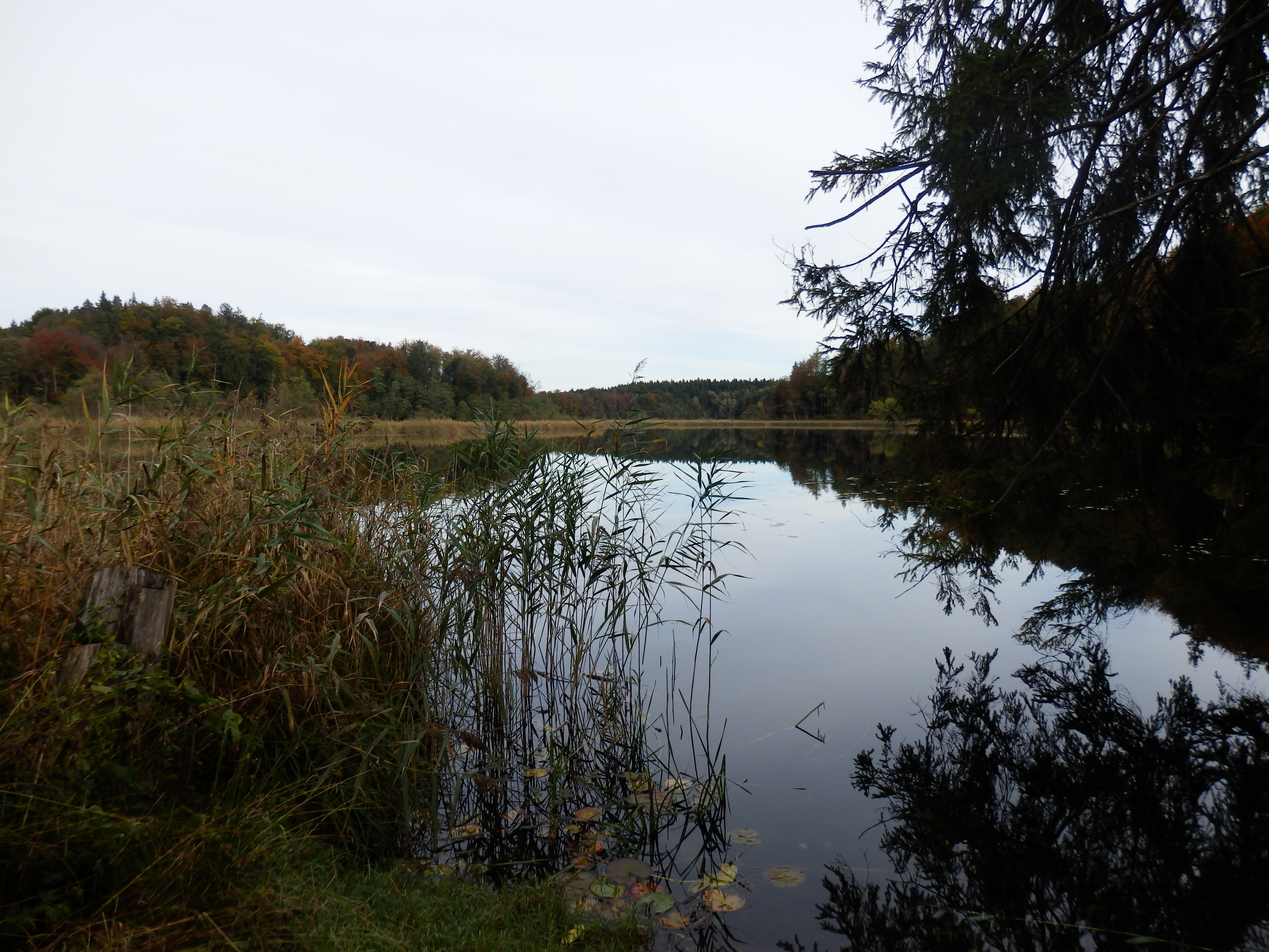 kautsee.jpg