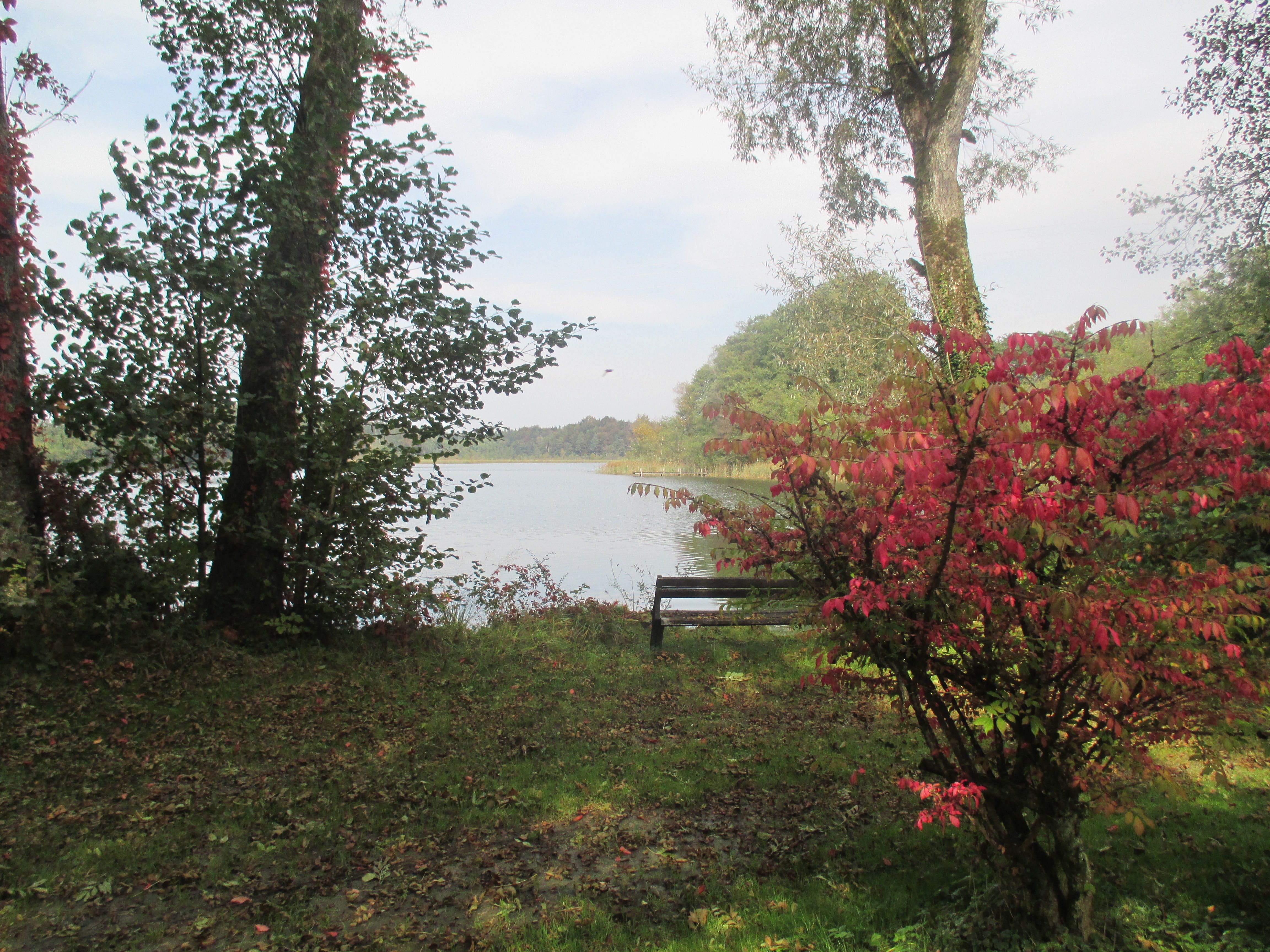 schlosssee.jpg