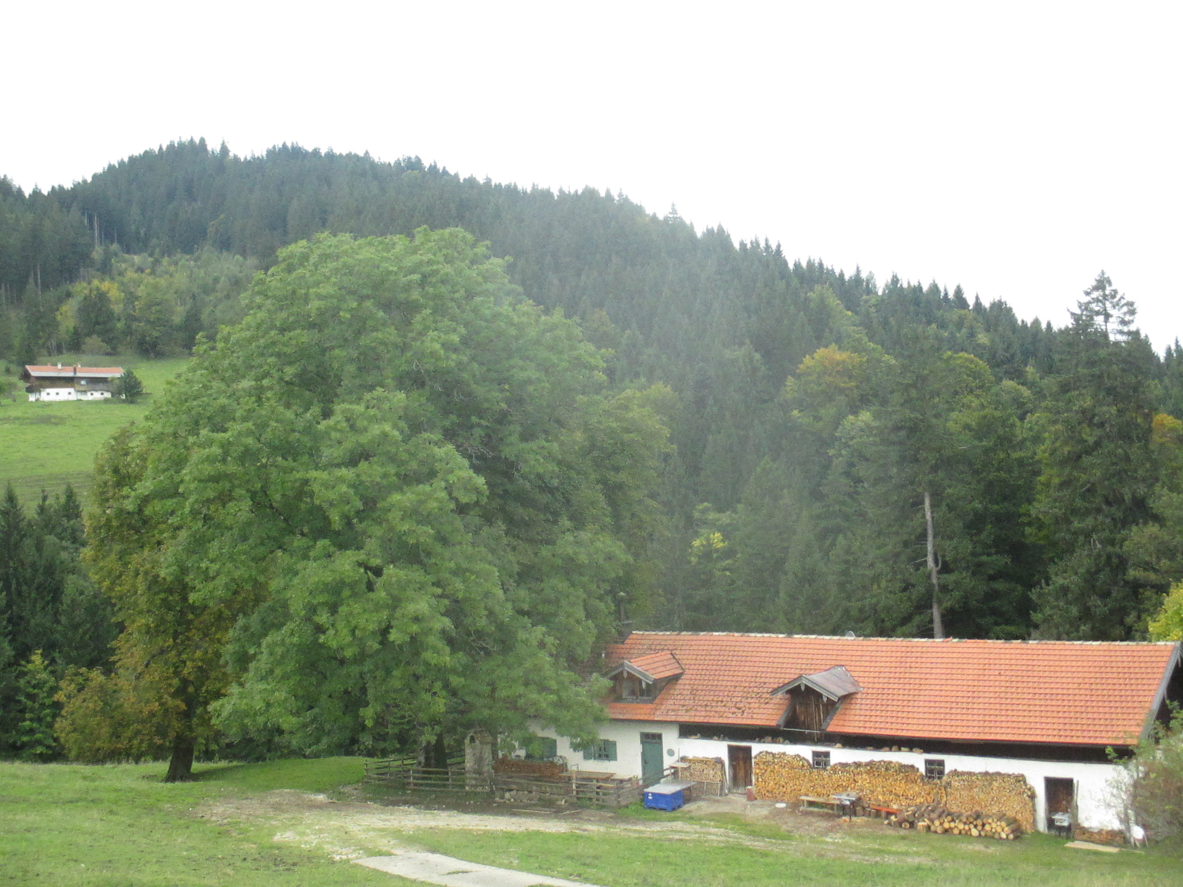 schmiedalm-frasdorf.jpg