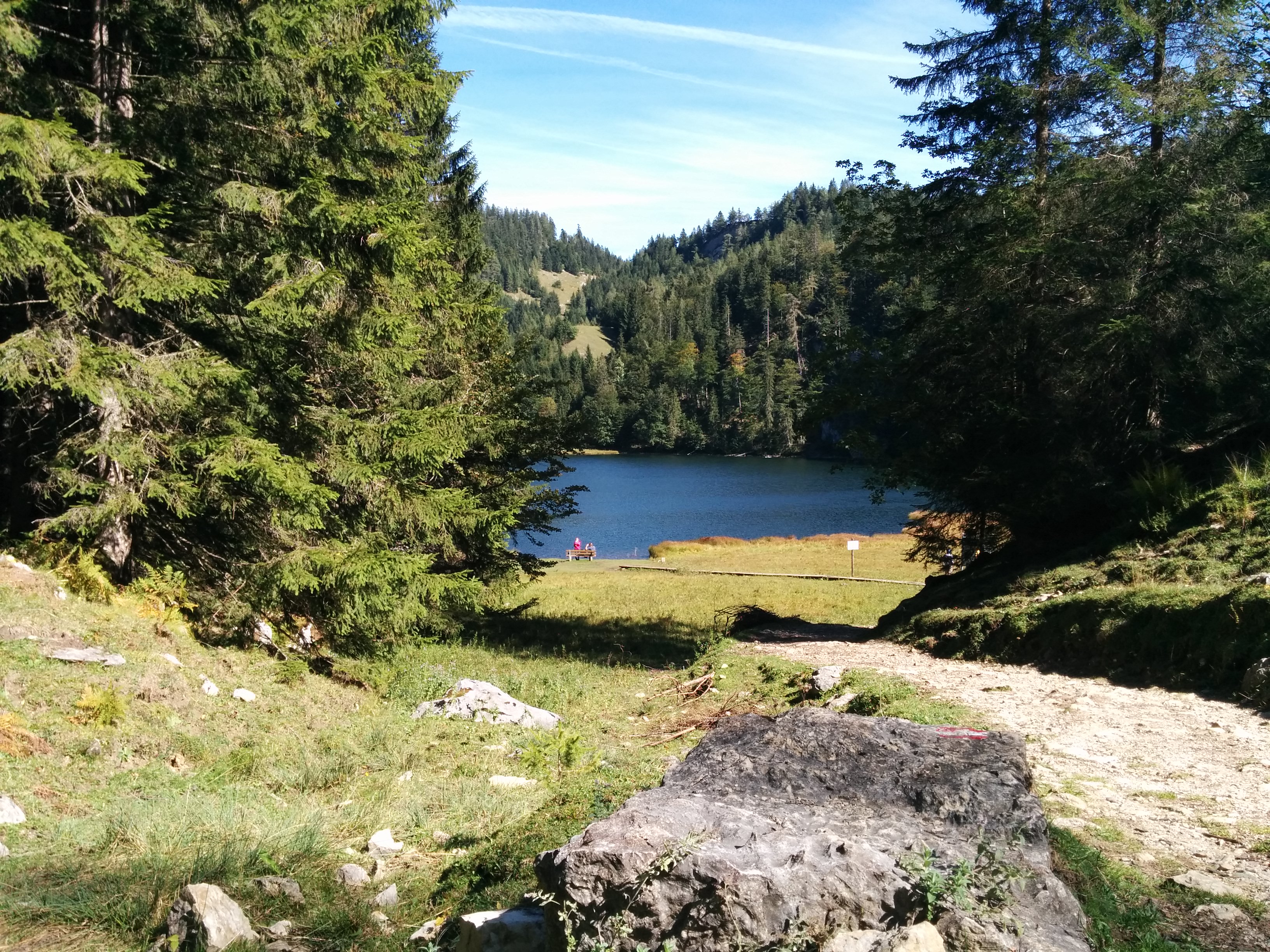 taubensee30.jpg