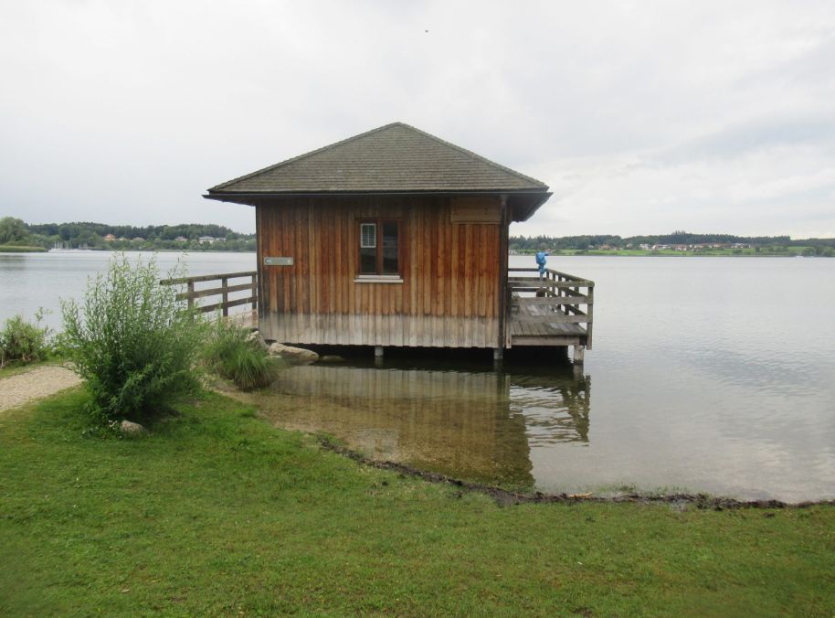 vogelbeobachtungsstation.jpg